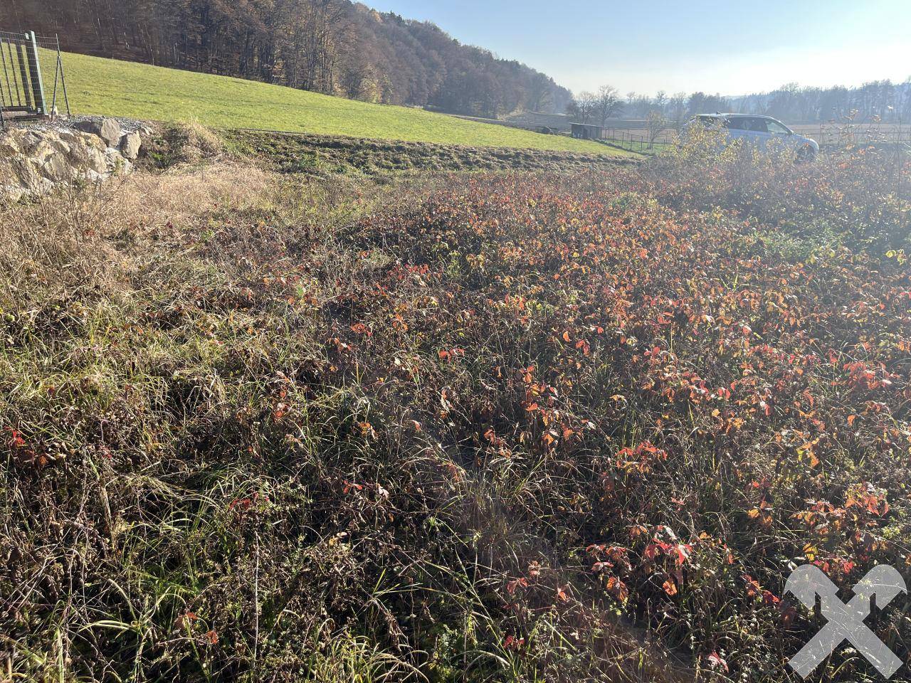 Sonniger Baugrund in St. Peter am Ottersbach – 628 m², sofort bebaubar