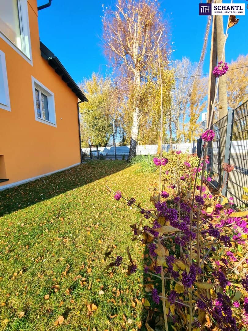 Attic apartment with terrace and garden