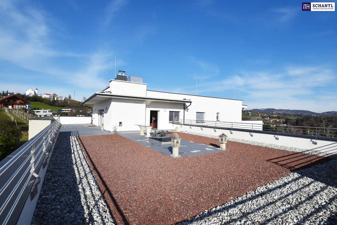 Penthouse with view of vineyards and terraces