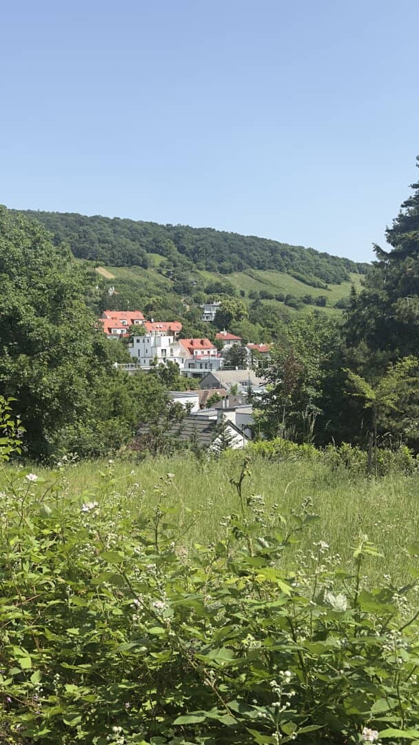 View of the vineyards! Plot for villa development in an absolutely quiet location in Nussberg