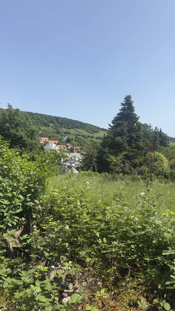 View of the vineyards! Plot for villa development in an absolutely quiet location in Nussberg