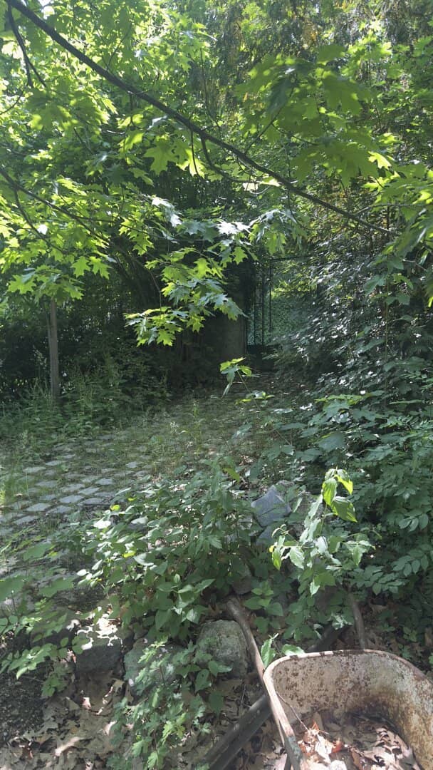 View of the vineyards! Plot for villa development in an absolutely quiet location in Nussberg