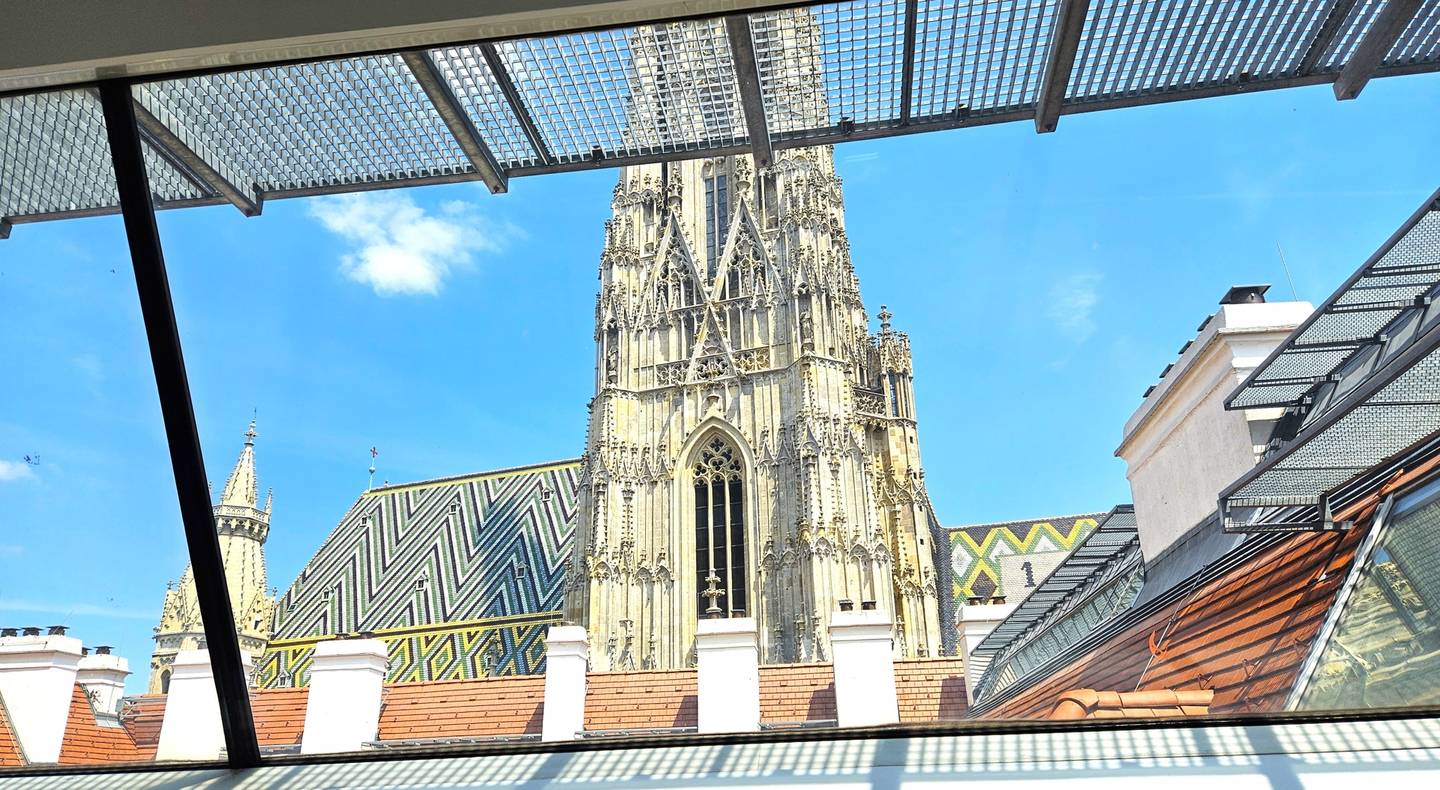 Loft apartment with Stephansdom view terrace