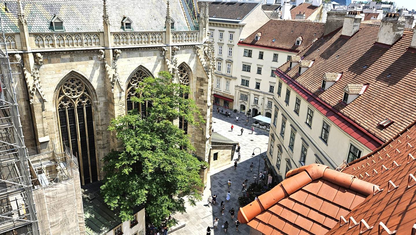 Loft apartment with Stephansdom view terrace
