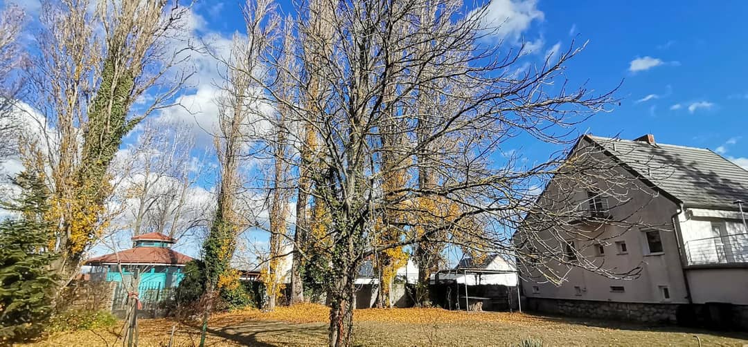 Weitläufiges Eckgrundstück mit Seeblick in Podersdorf