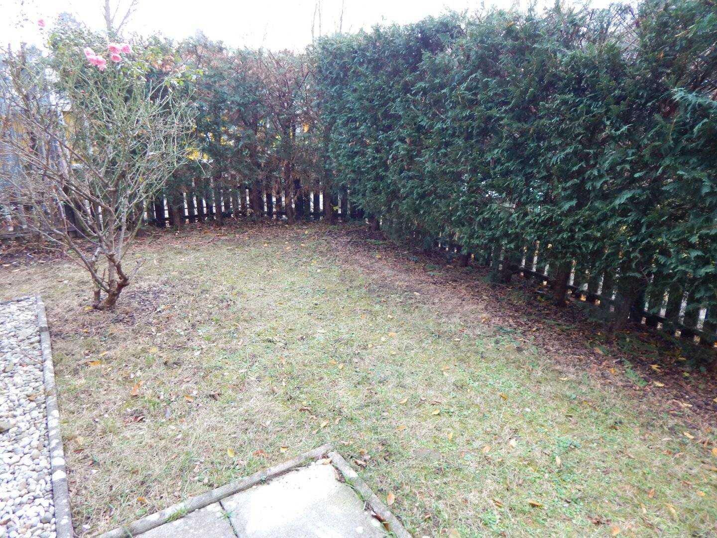 Wohnung Garten Terrasse ruhig nahe Hauptplatz