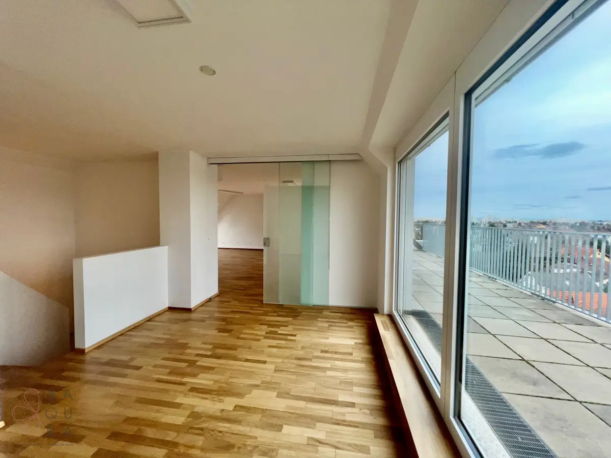 Penthouse Panoramic View Alte Donau Large Terrace