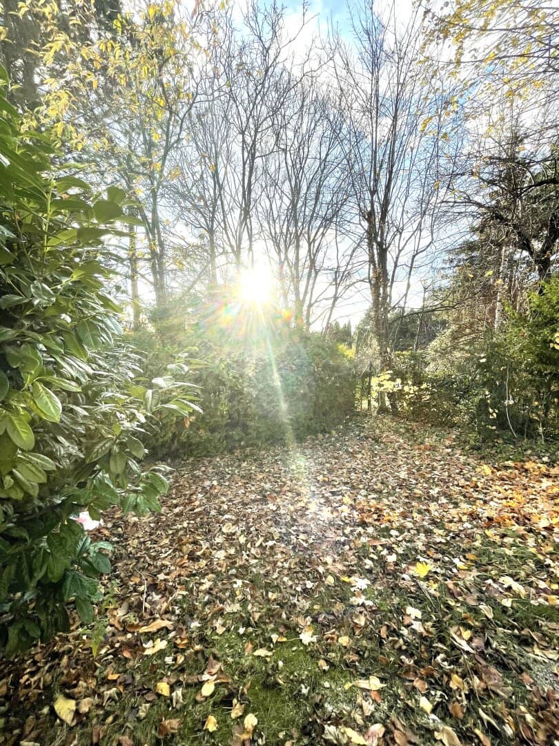 Gartenwohnung in Sievering/Wien: 164 m², 3 Zimmer, Terrasse & Garten