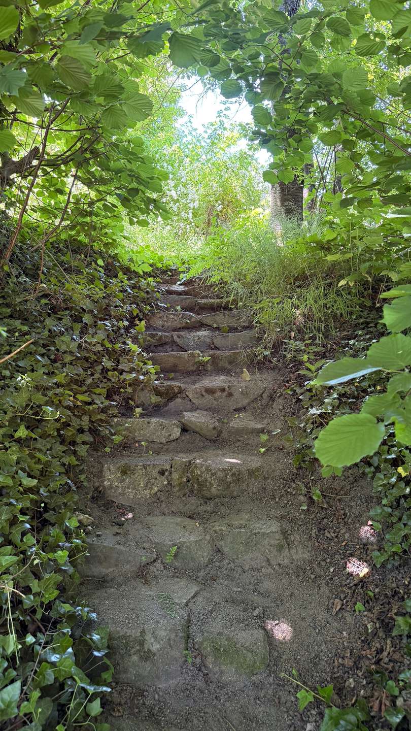 Landhaus in Weitra im Waldviertel – kernsaniert, 5 Zimmer, Naturgarten