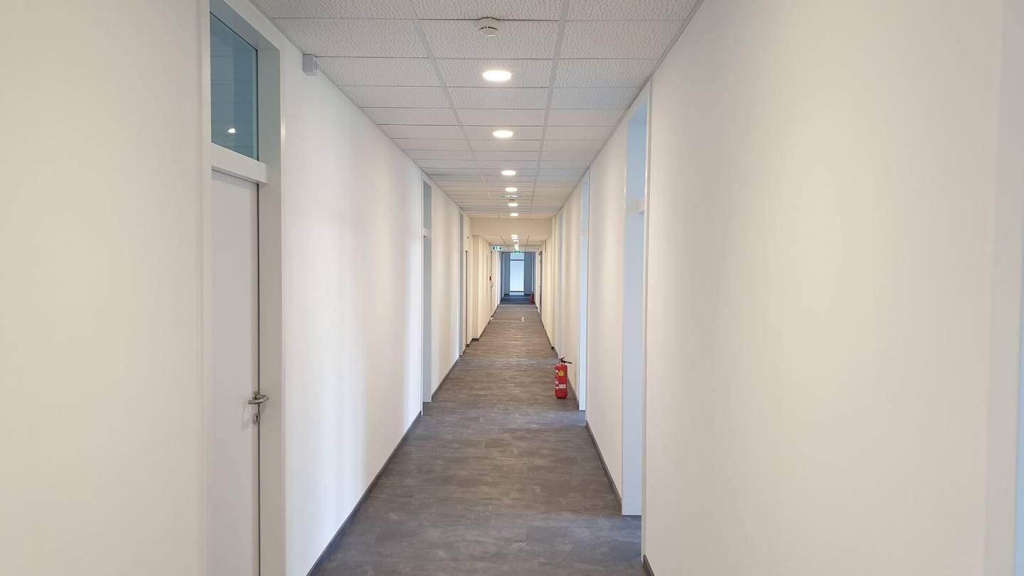 Gewerbeobjekt: Halle + Büro in Liesing, 247 m², Freistellplätze