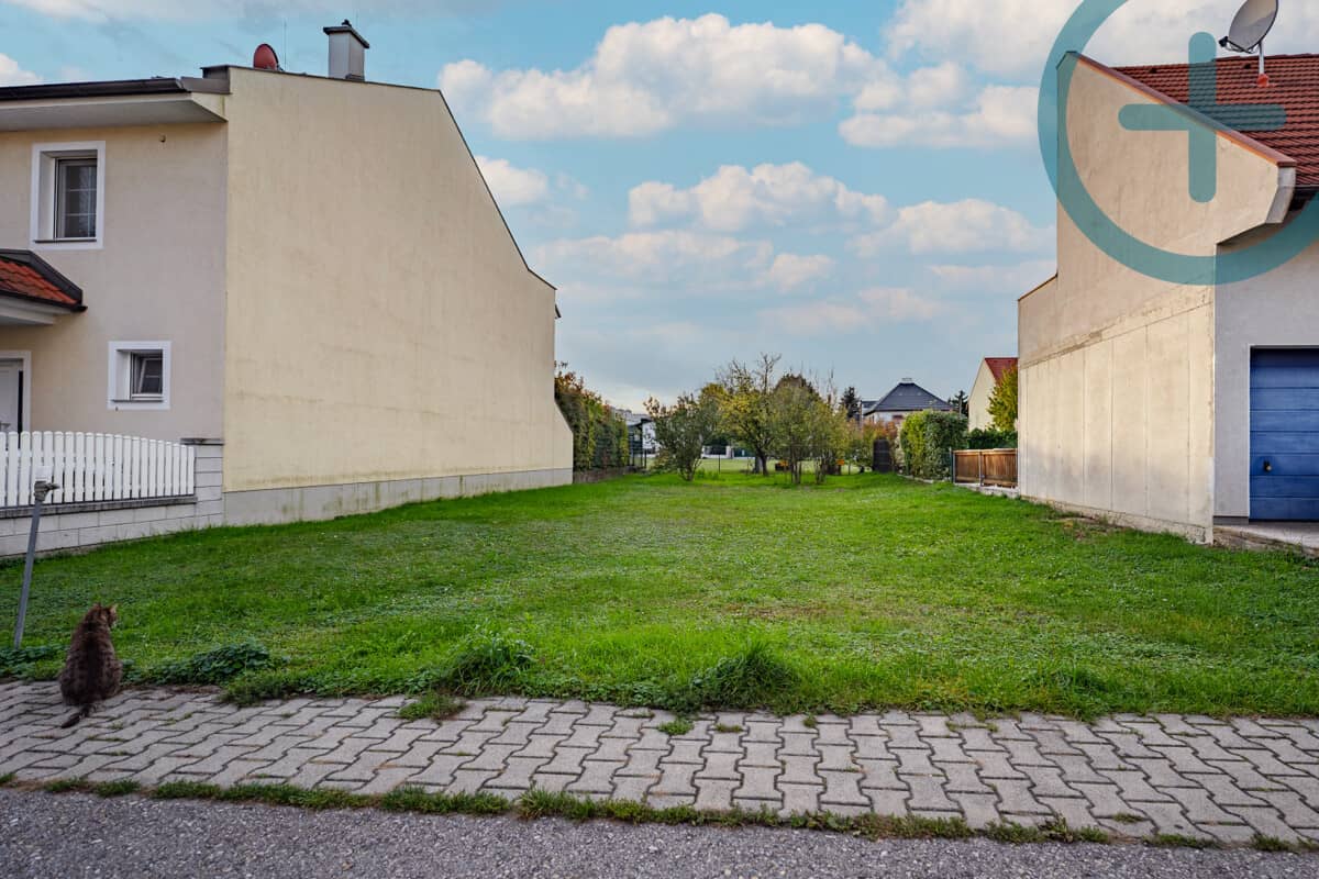 EIN "GRUND" MEHR UM RICHTUNG LOBAU ZU ZIEHEN
