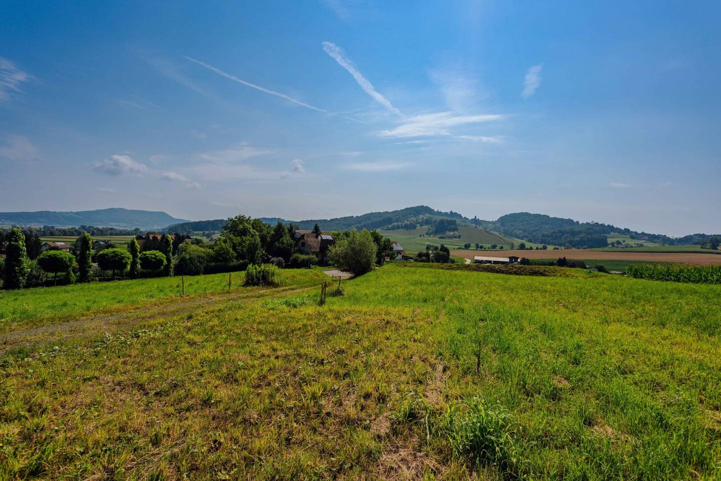 Baugrundstück mit Panorama und Waldrandlage – 20 Min. von Graz!