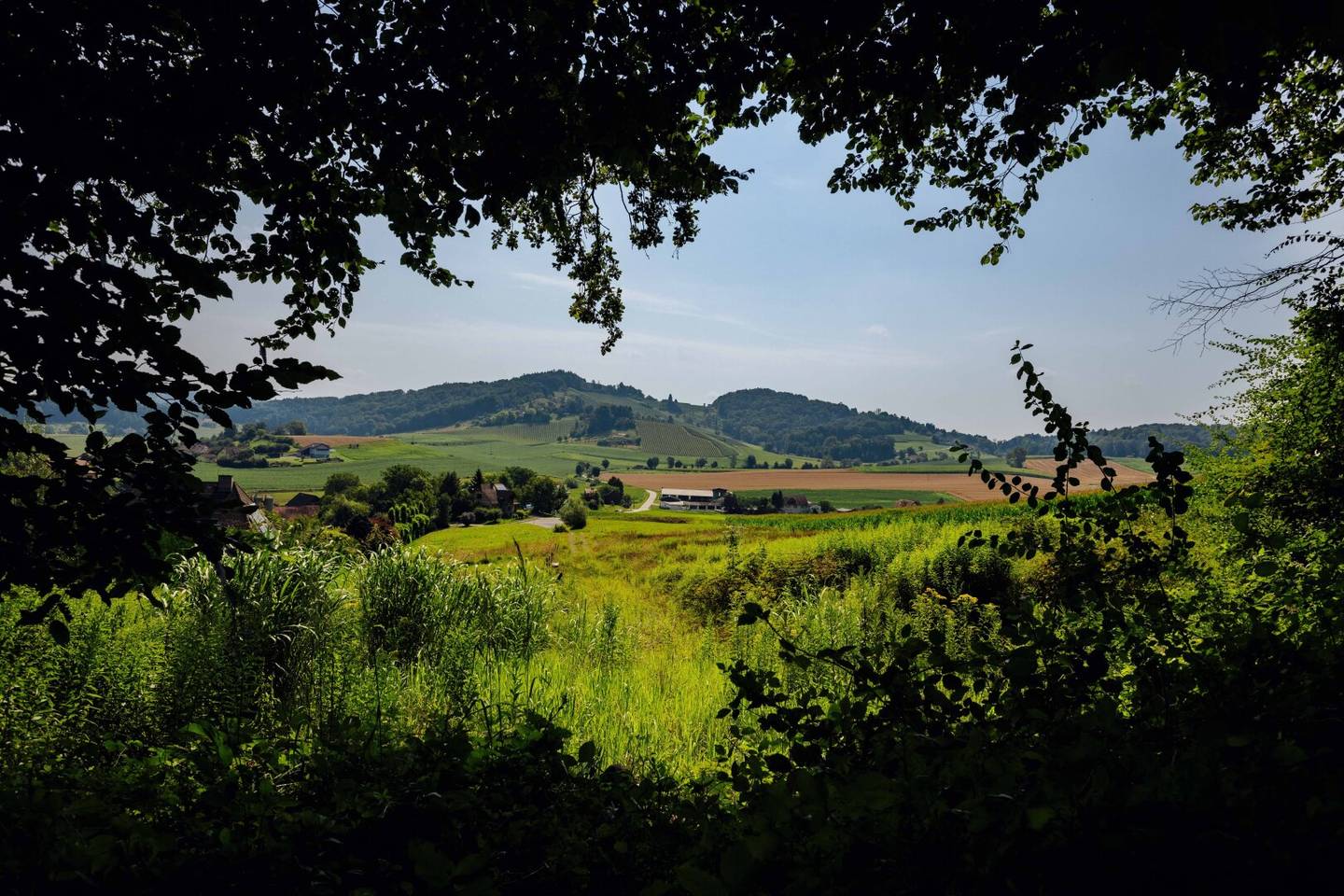 Grundstück in Grötsch am Waldrand, 535 m², Baugrund vorhanden