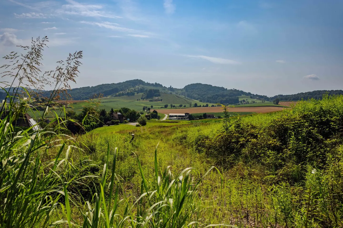 Building plot with panoramic view and forest edge location 20 minutes from Graz