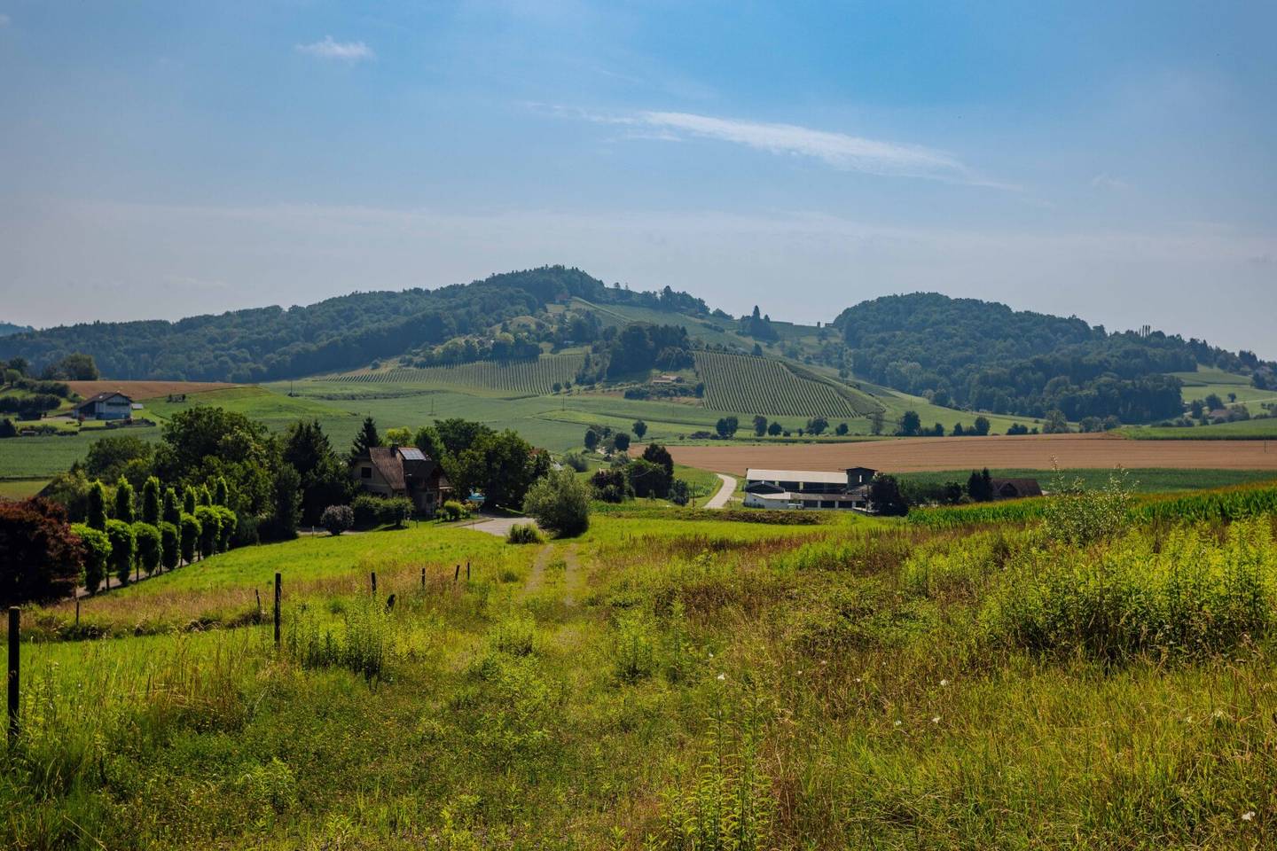 Grundstück in Grötsch am Waldrand, 535 m², Baugrund vorhanden