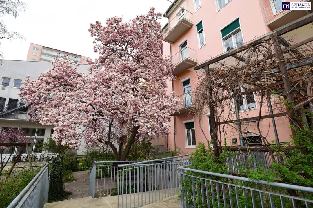 Immobilienbild 2