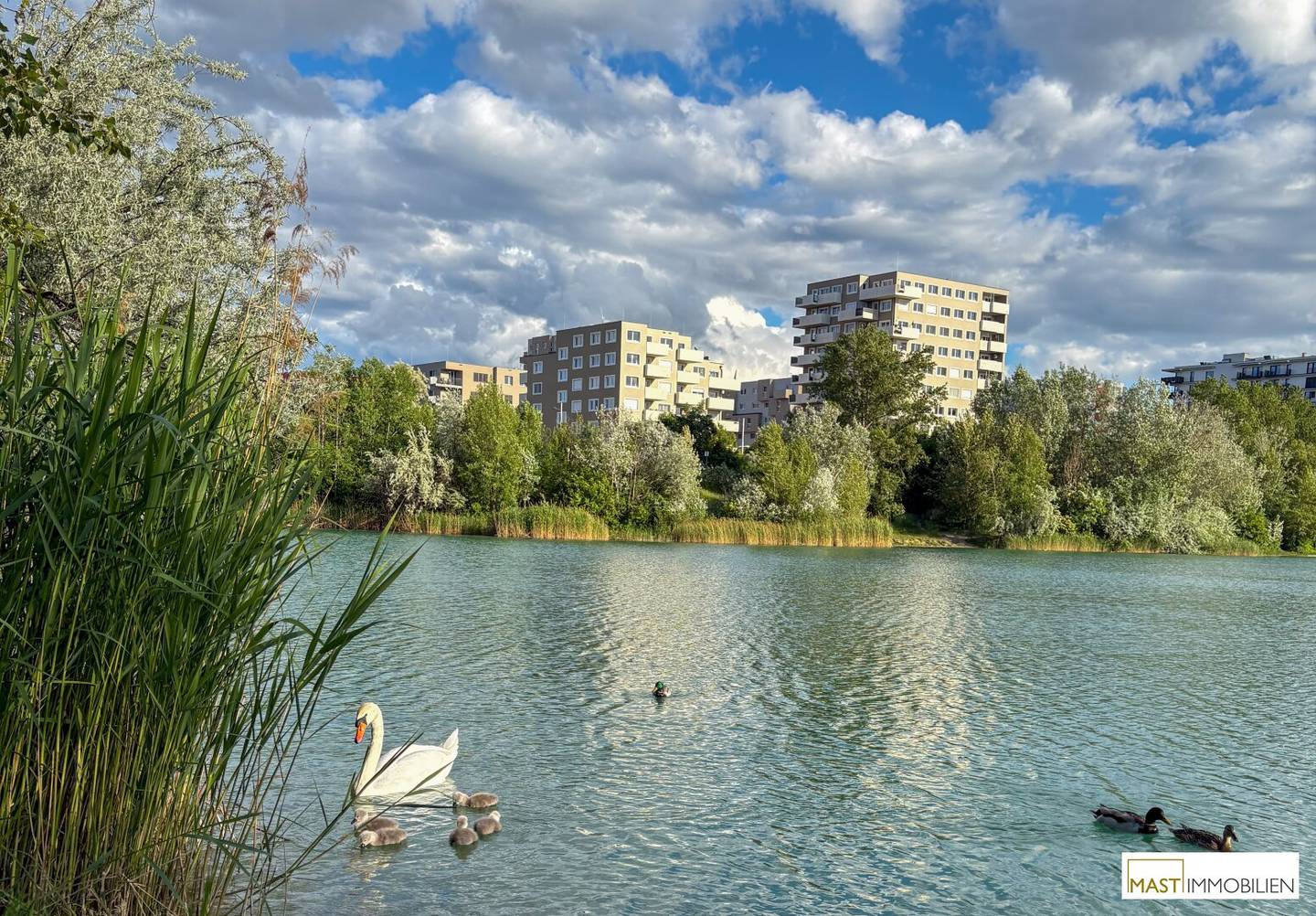 Leo am Teich | Ziegelhofstraße 70, 1220 Wien