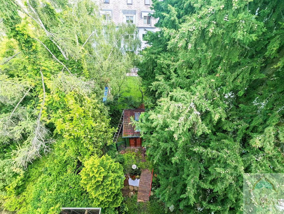 Immobilienbild 3