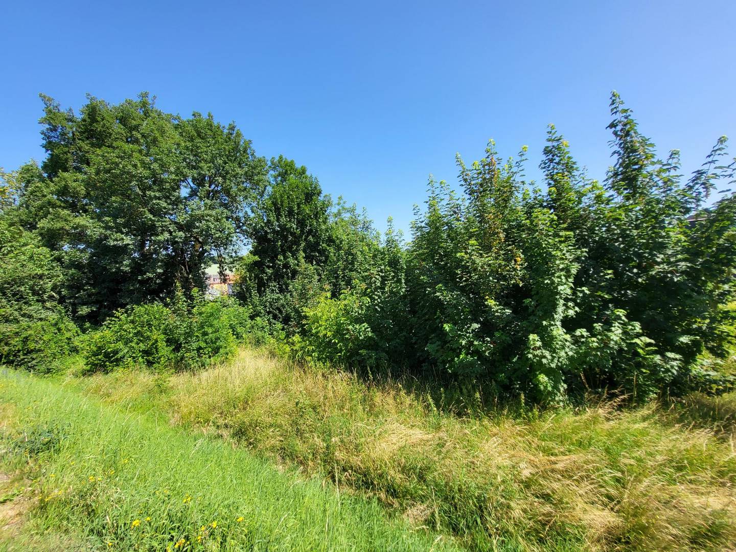 Gewerbegrundstücke in Leonding – drei Teilflächen ca. 2.6–3.0 Tsd m²