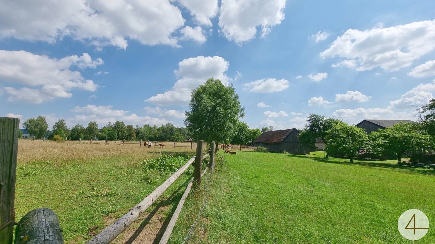 Pferdeparadies mit Reithalle