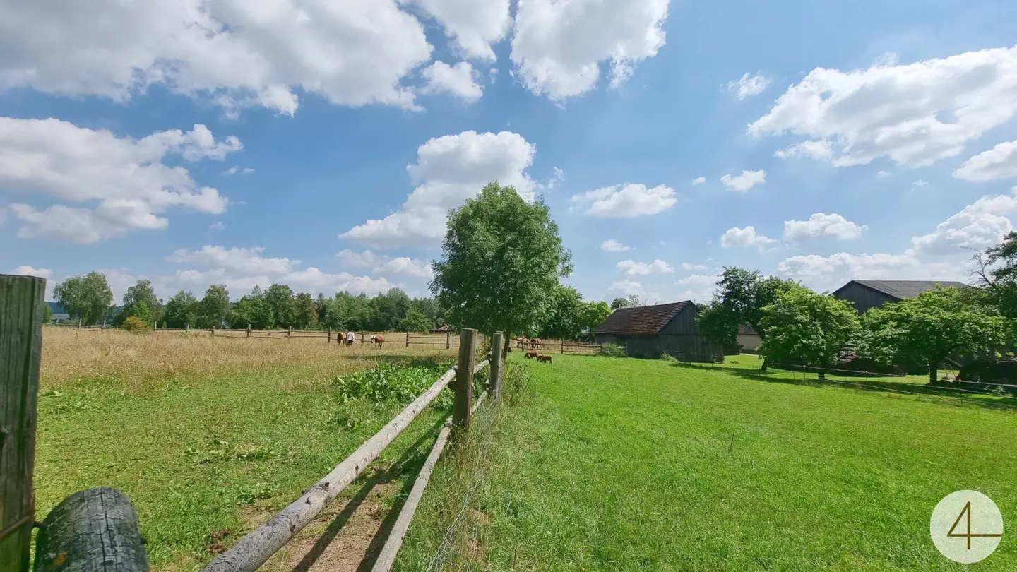 Horse Paradise with Riding Arena
