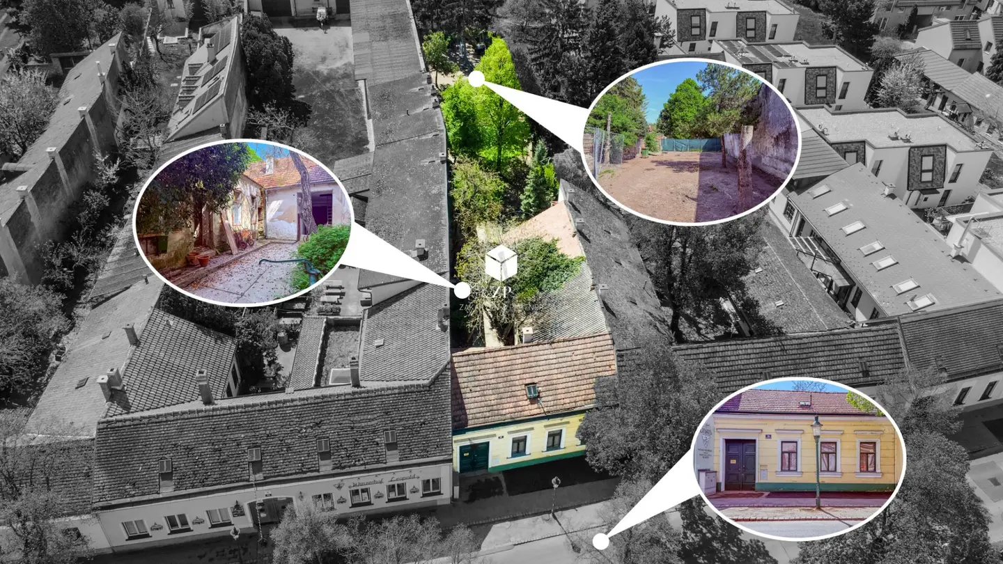 Renovation Property Stammersdorf