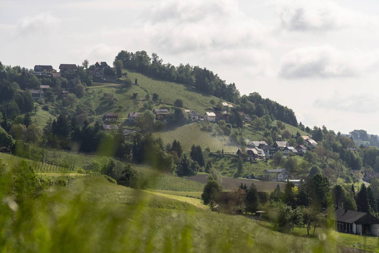Luxus-Ferienhaus in Wies: Panorama & Außenpool, Sauna, Pelletheizung