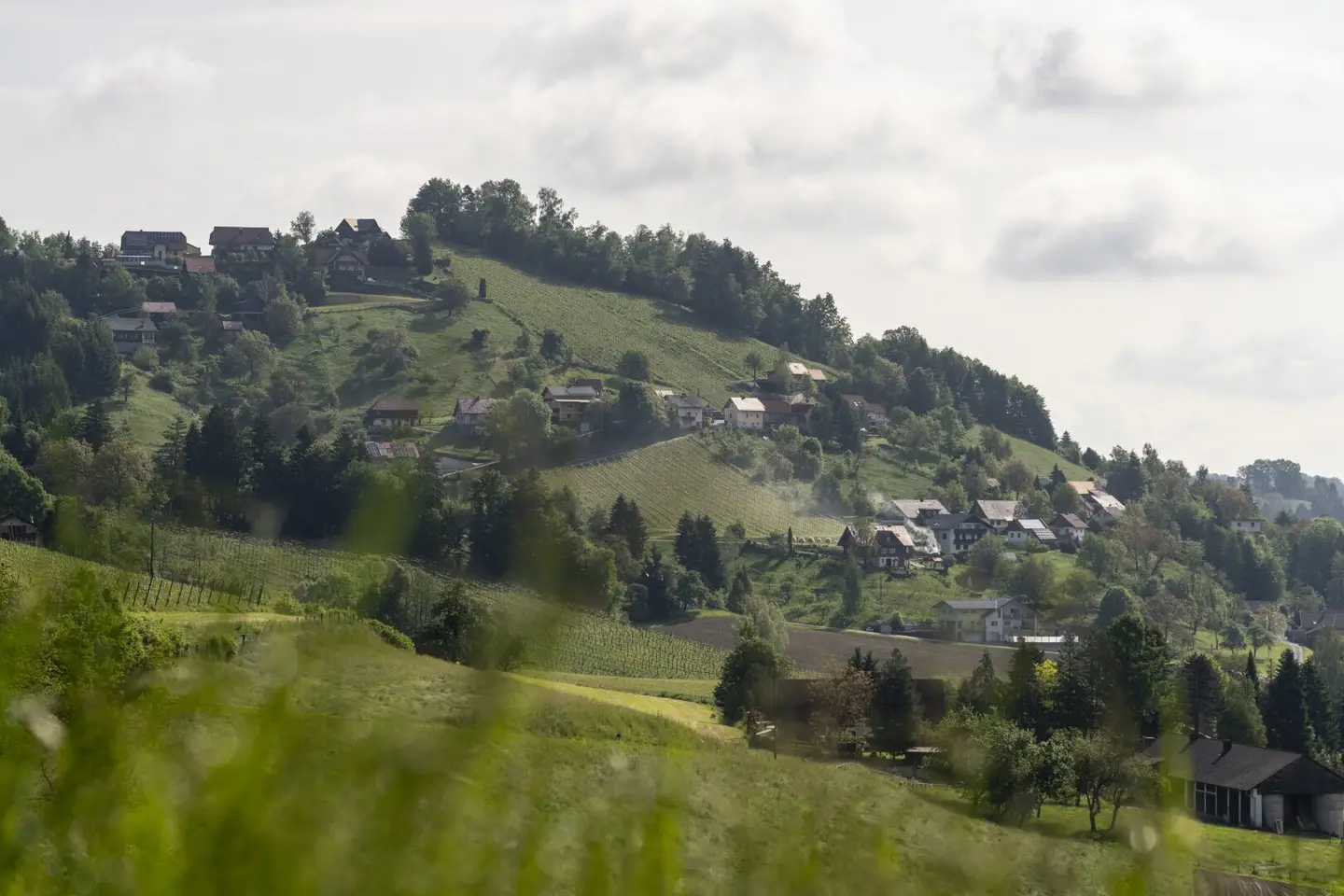 Luxus-Ferienhaus in Wies: Panorama & Außenpool, Sauna, Pelletheizung
