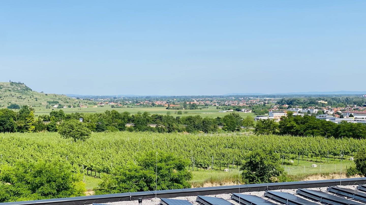Brand new apartment with balcony Danube Hills