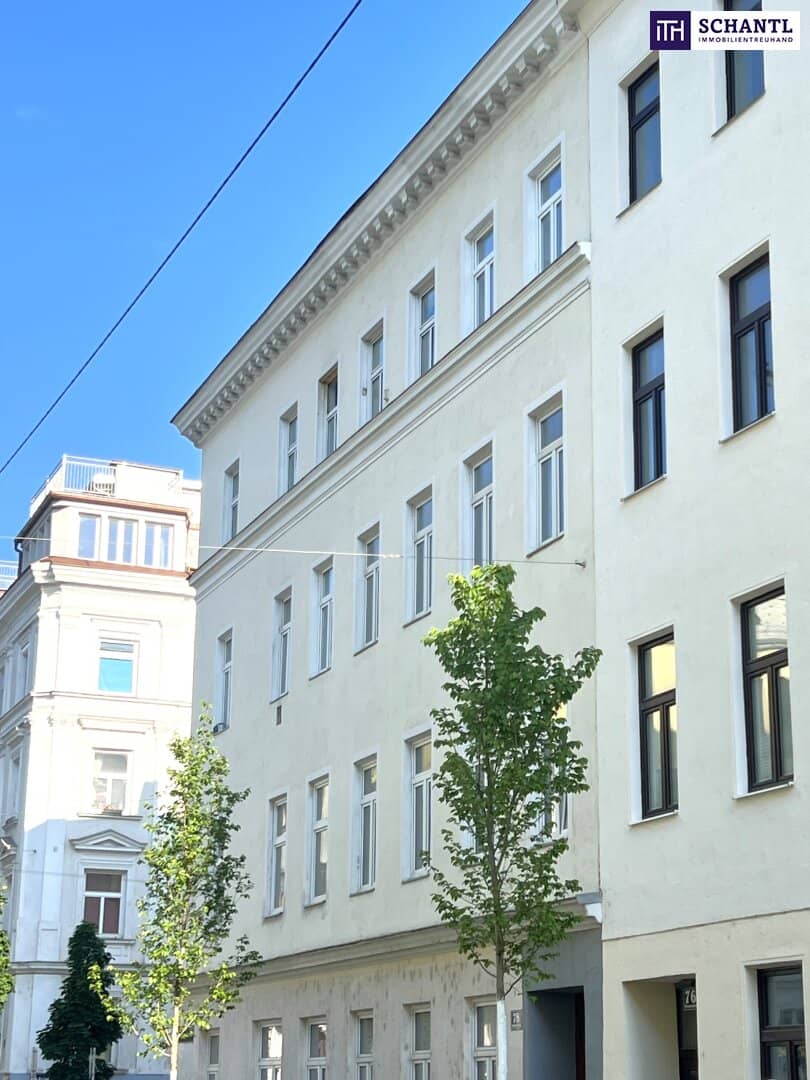 apartment renovation project near park