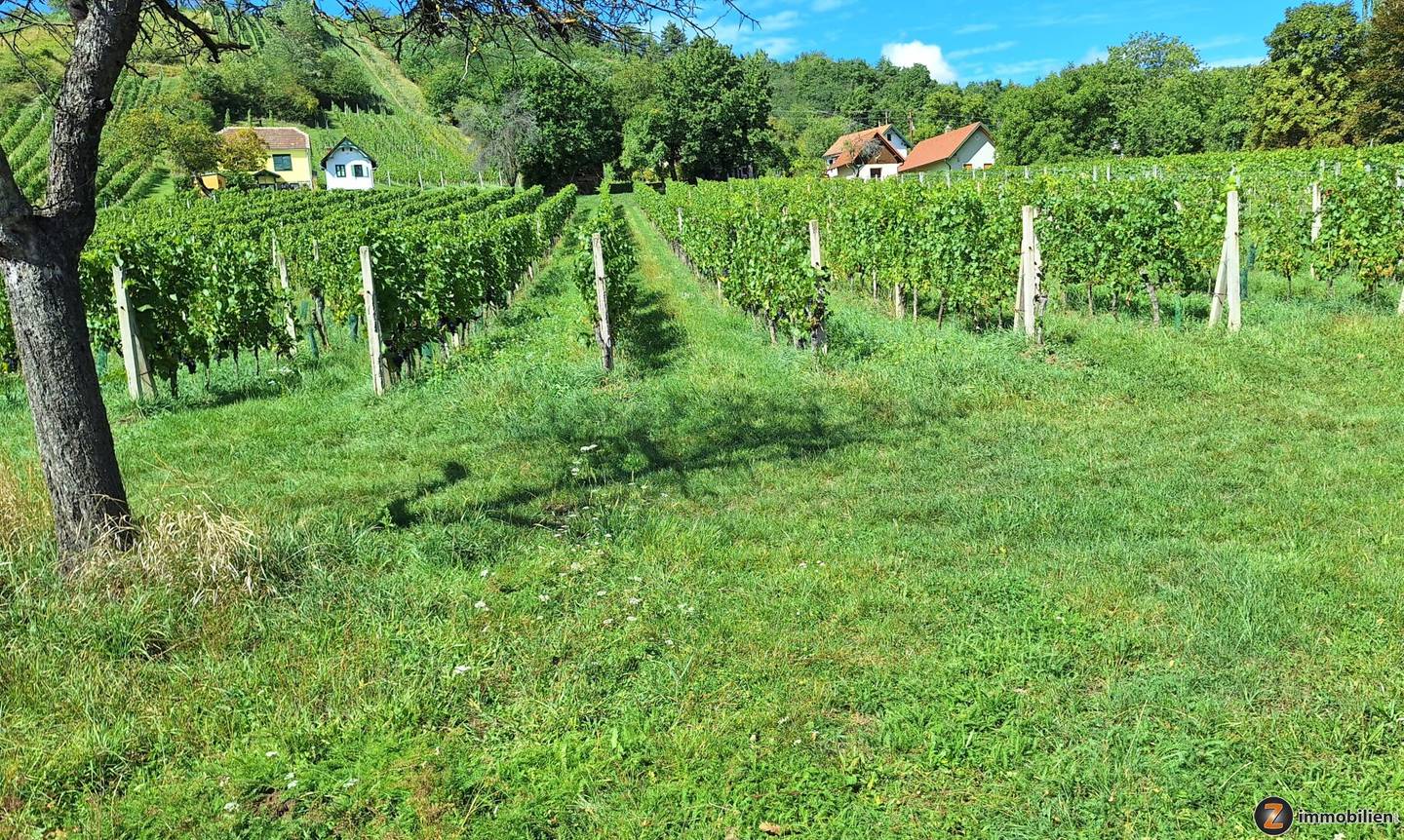 Uriges Holzkellerstöckl in Eisenberg a.d. Pinka – Weingarten 1.940 m²