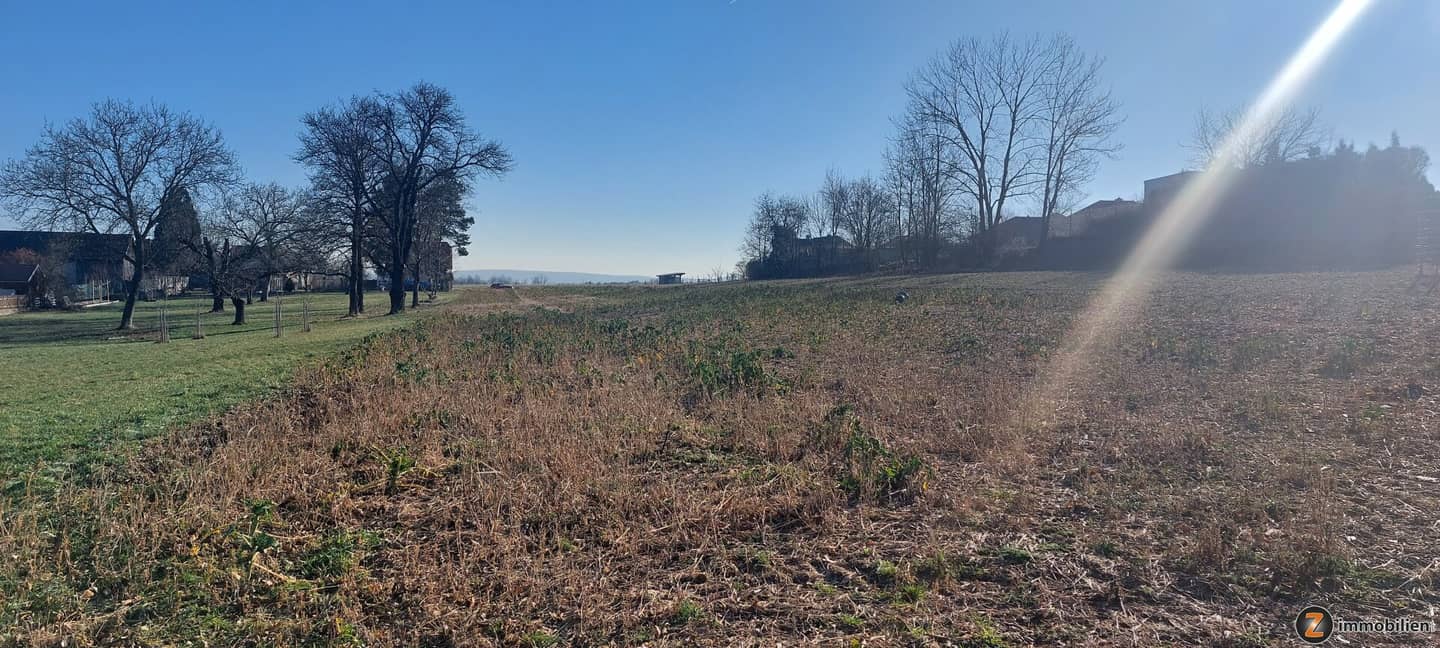 Grundstück nahe Oberpullendorf: Baugrundstück 3.781 m² kein Bauzwang