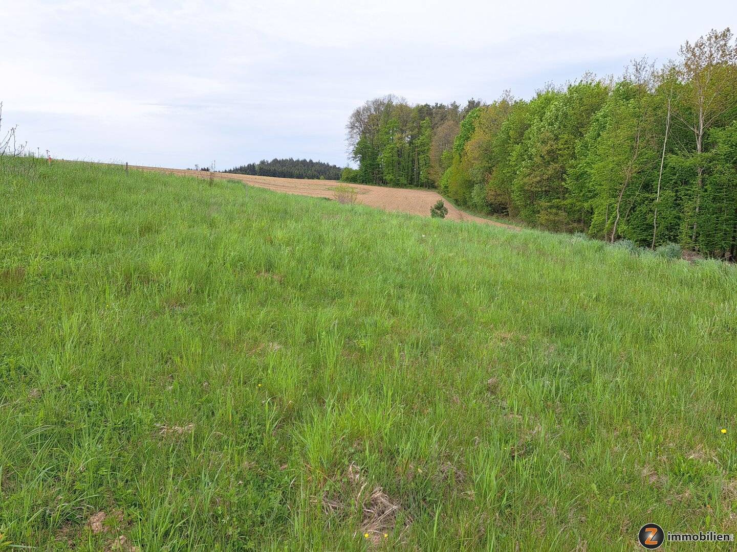 Grundstück in Holzschlag, ruhige Aussichtslage im Wald, kein Bauzwang