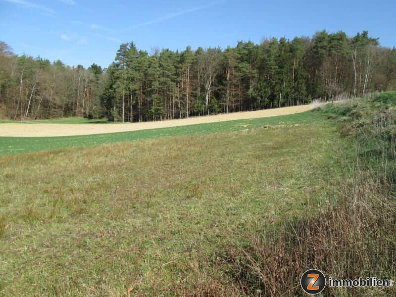 Grundstück in Jennersdorf: 2.791 m², zentrumsnah in sonniger Ruhelage
