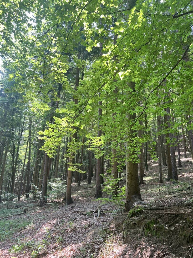 Immobilienbild 4