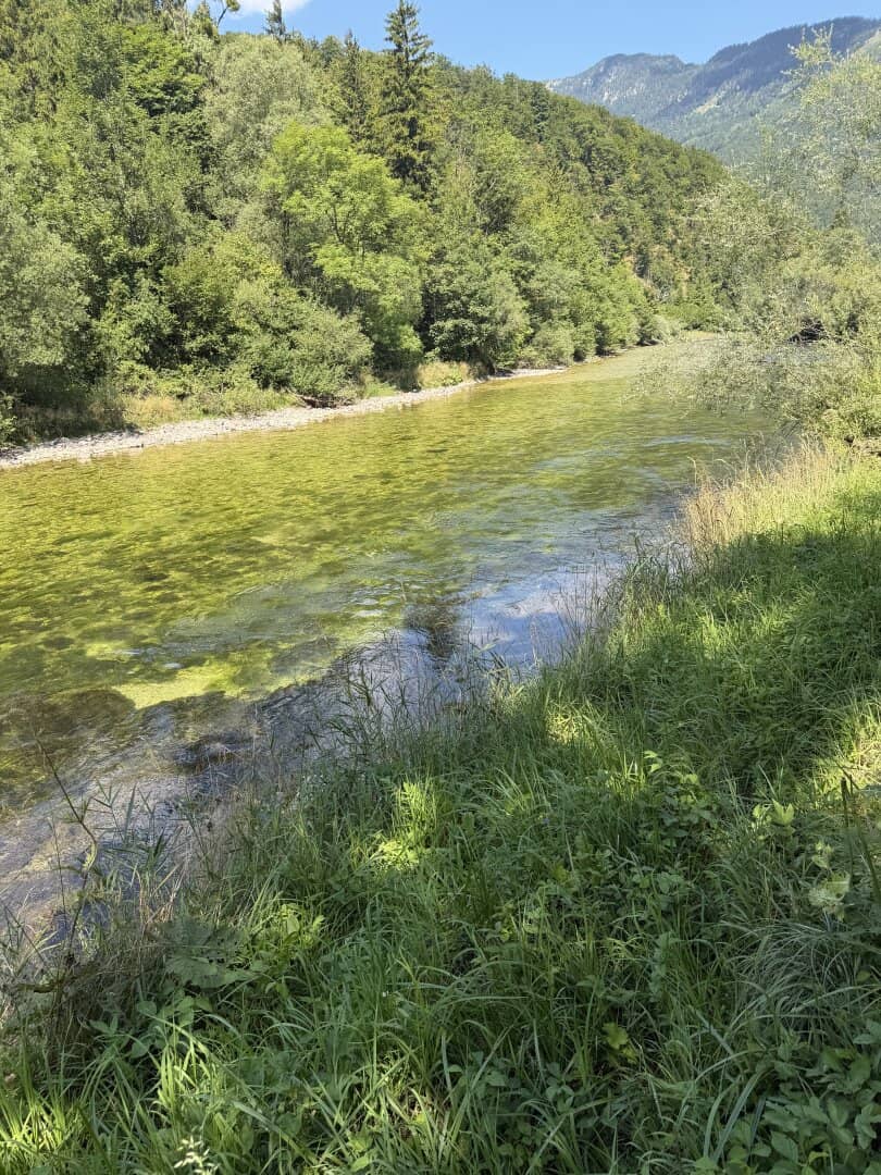 Exclusive Grayling Fishing Waters in Carinthia