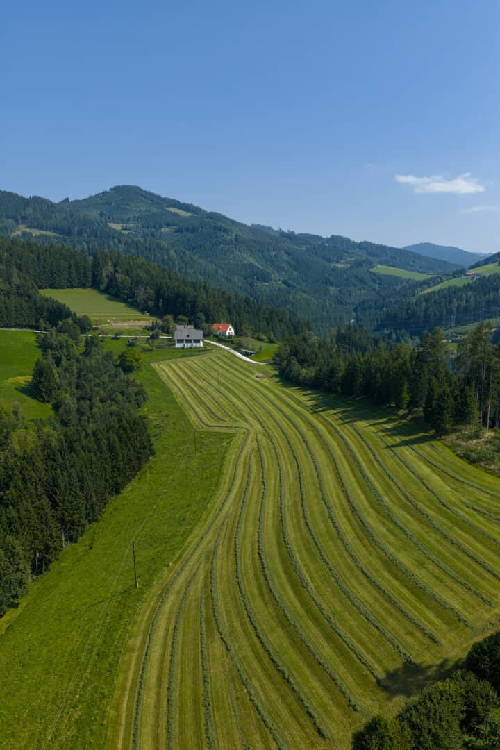 10 ha Reiterhof mit Reitplatz und Panoramalage