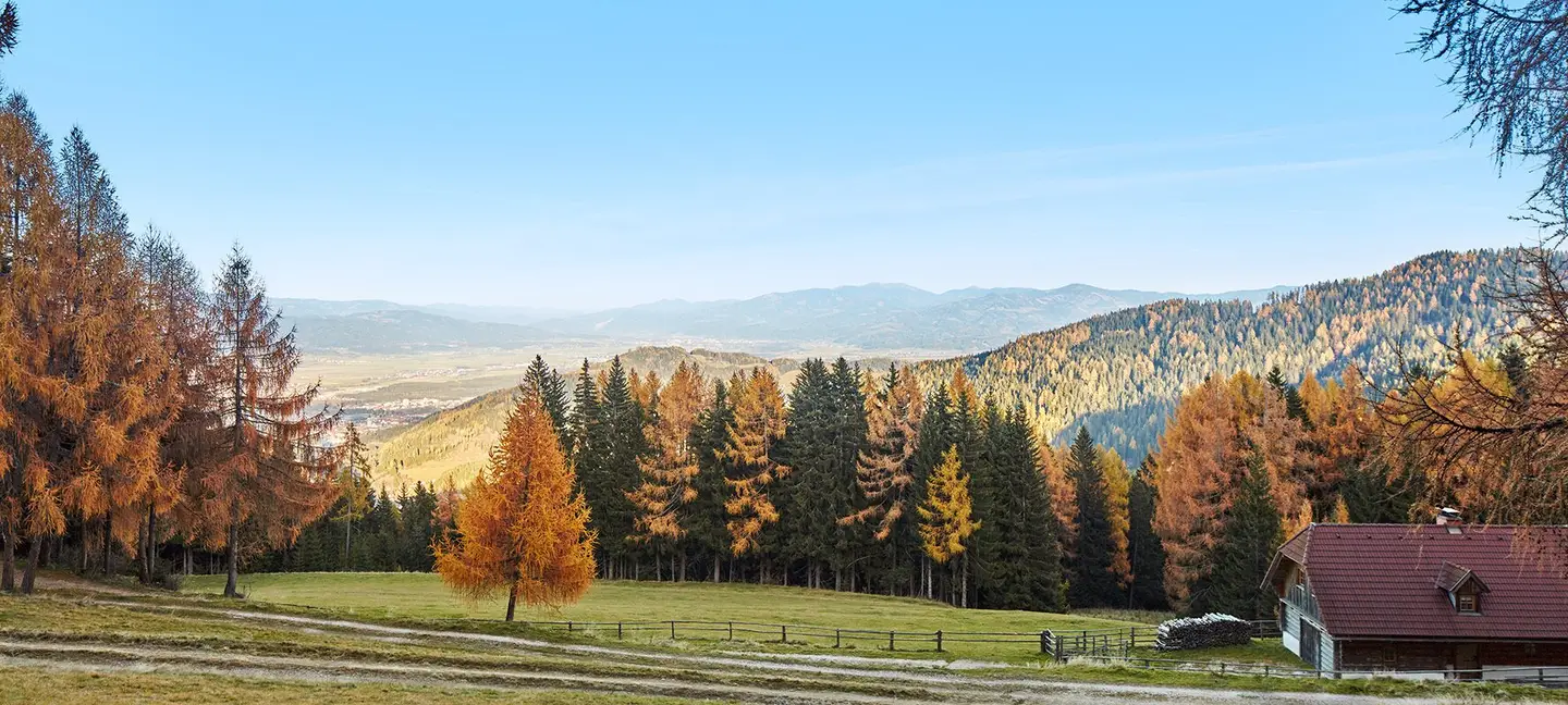 Panoramahütte Abfalterer – ab 3 Tage über urlaubambauernhof.at buchbar!
