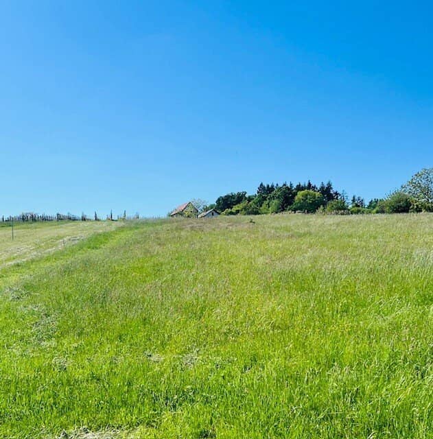 Ferienhaus in Strem, sonnige Lage, 100 m² Wohnfläche, Garten 3589 m²