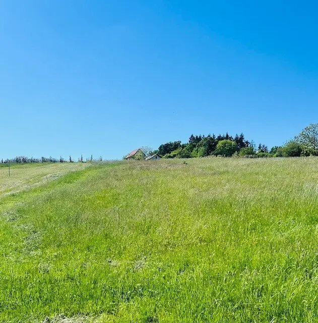 Beautiful, peacefully located cellar cottage with 3589 m² plot