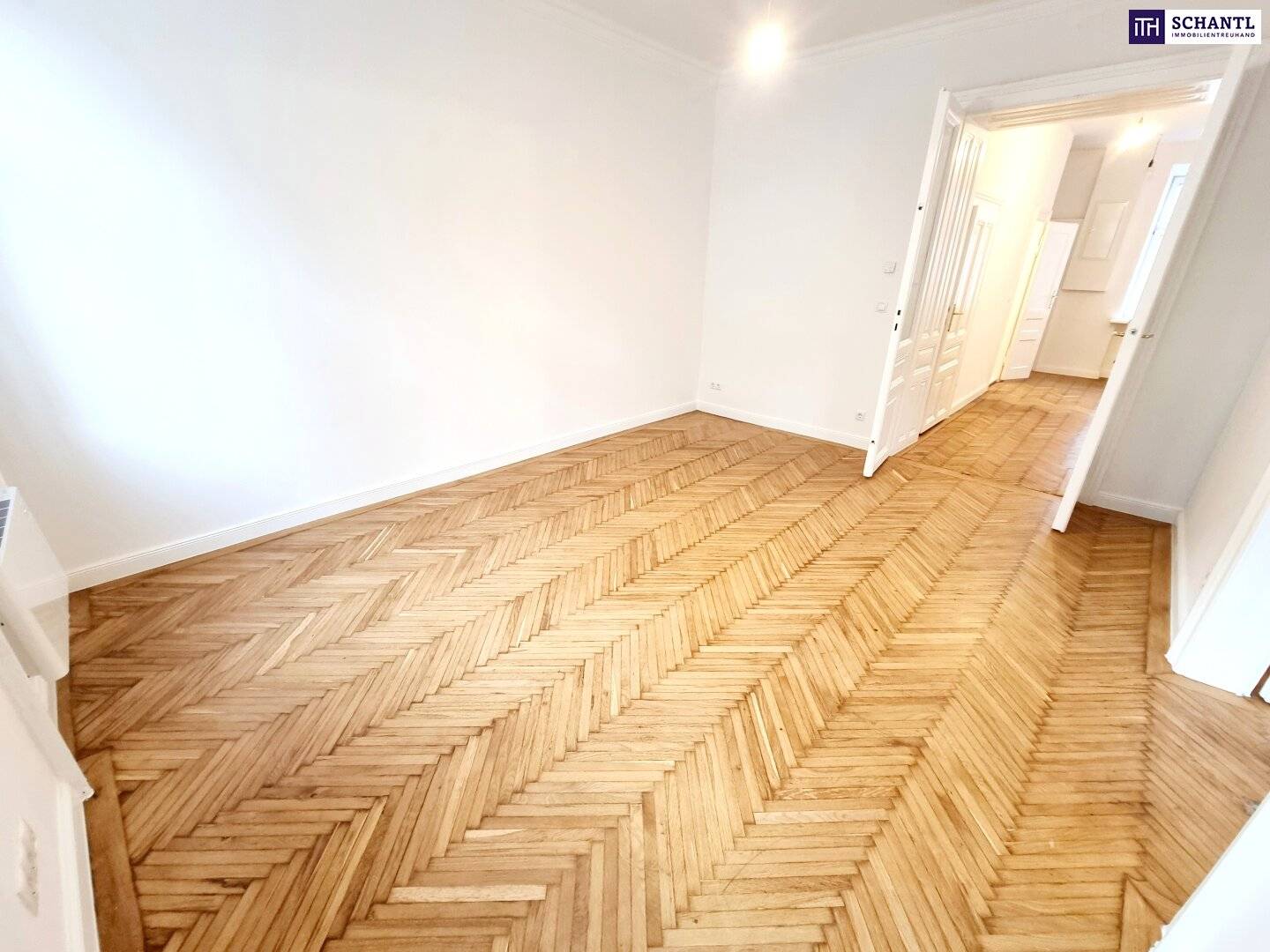 Historic apartment with high ceilings and parquet