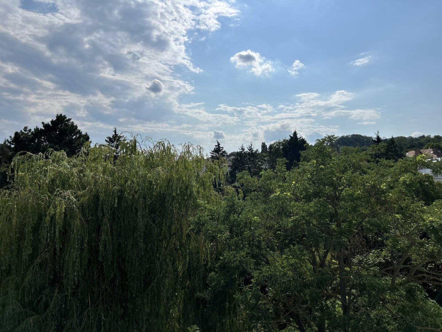 Immobilienbild 2