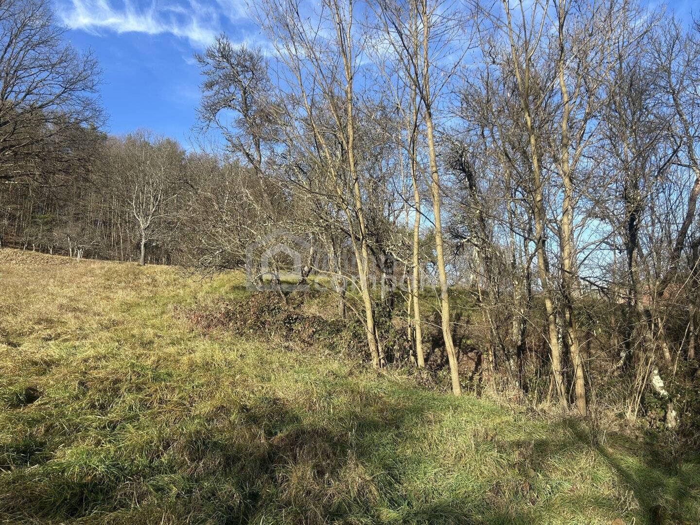 Großes Grundstück in Minihof-Liebau: 6.091 m2, teils Bauland Dorf