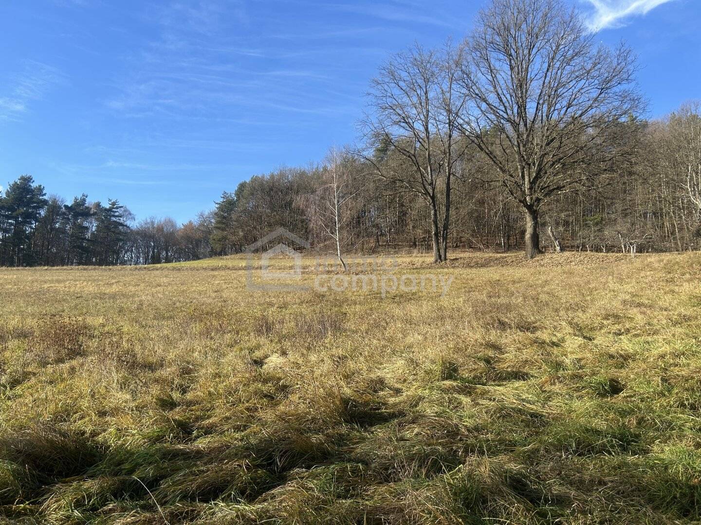 Großes Grundstück in Minihof-Liebau: 6.091 m2, teils Bauland Dorf