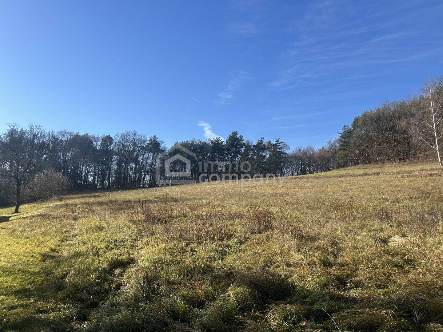 Großes Grundstück in Minihof-Liebau: 6.091 m2, teils Bauland Dorf