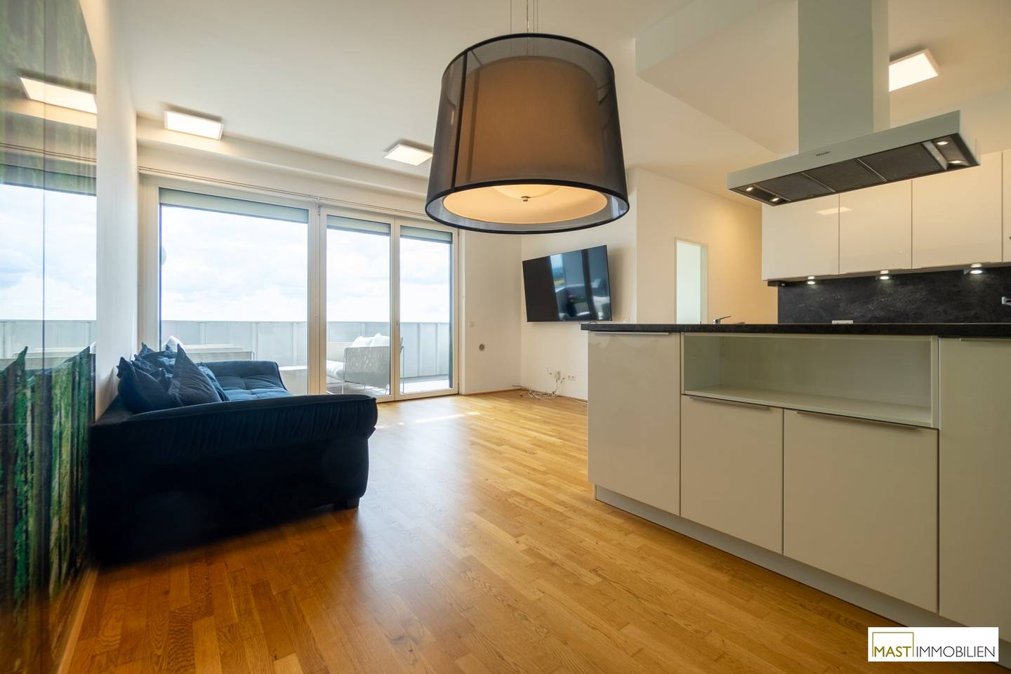 Penthouse with Burgenland view and terrace