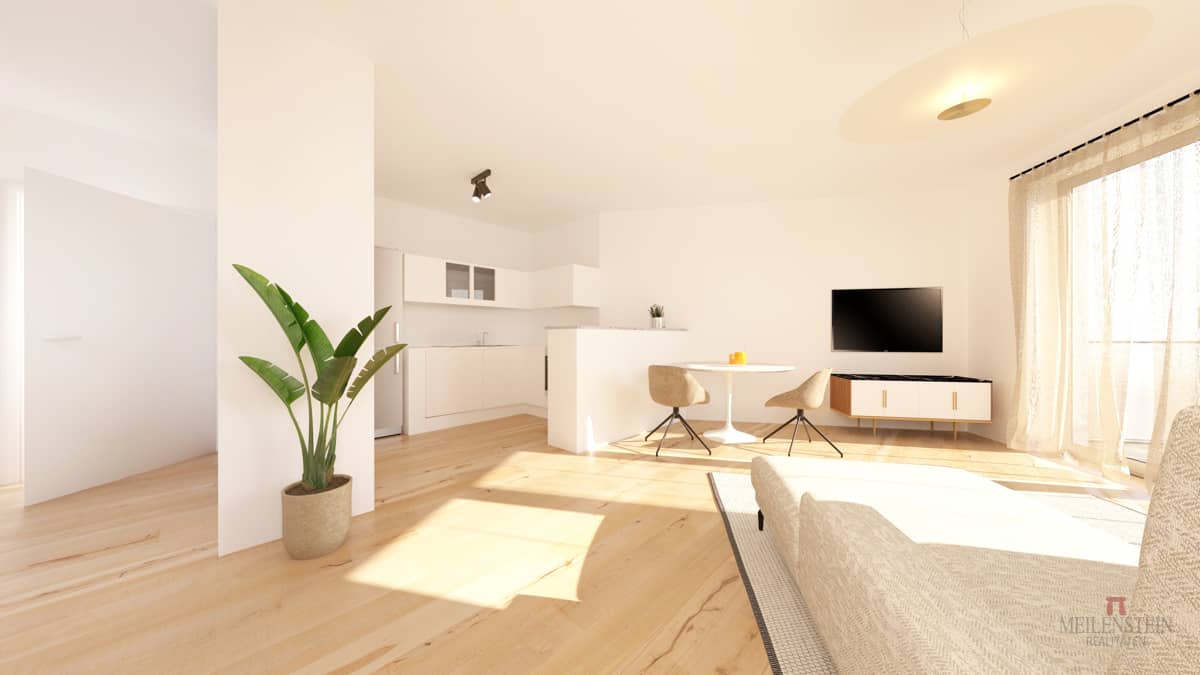 Brand new apartment with balcony and elevator