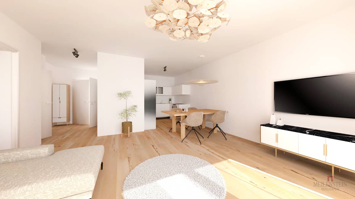 Brand new apartment with balcony and elevator