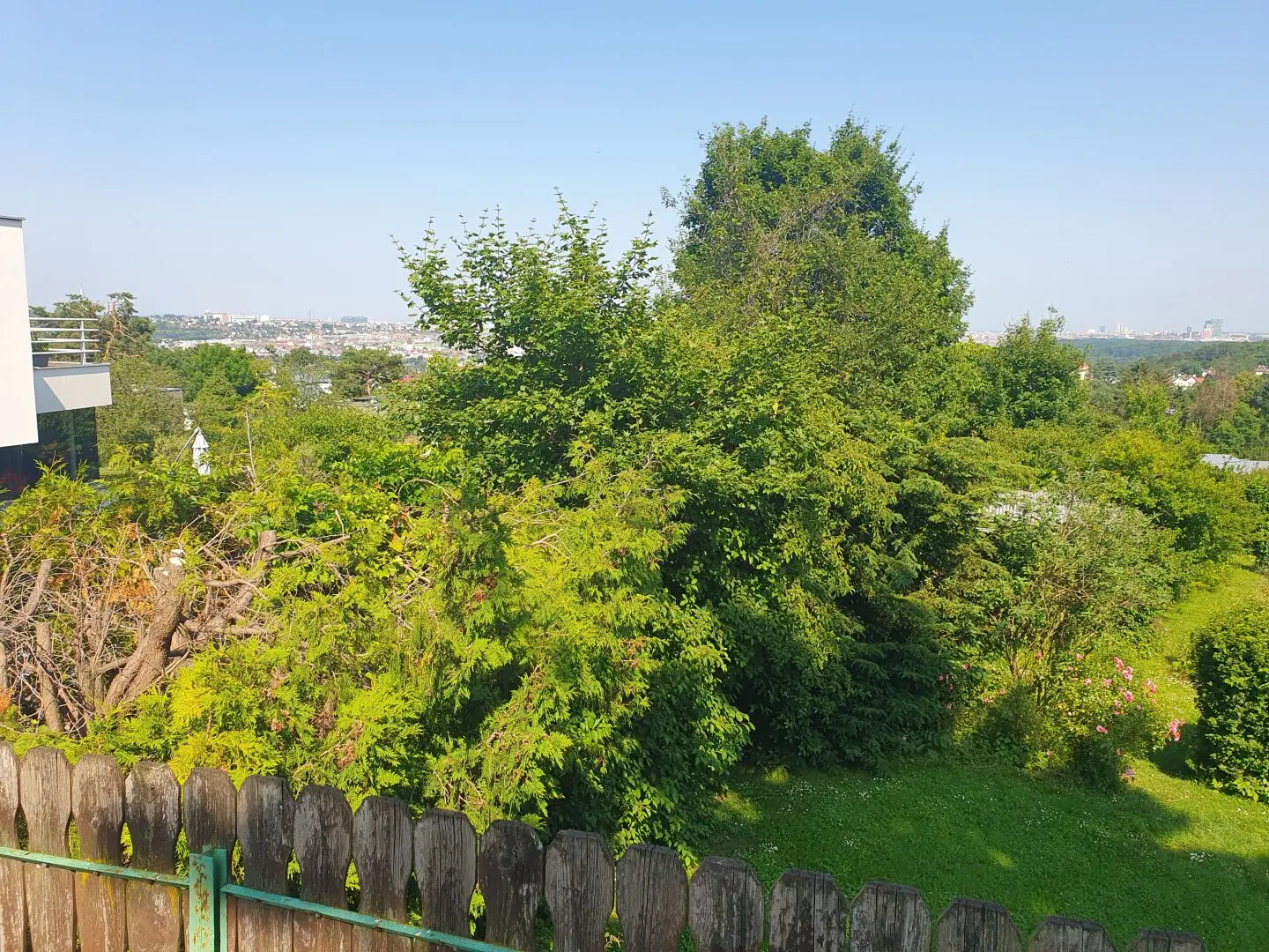 East-facing allotment garden plot in Hietzing with Vienna view