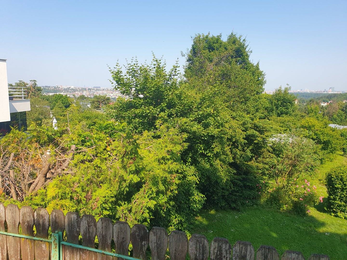 Östlich ausgerichtetes Kleingartengrundstück in Hietzing mit Wienblick